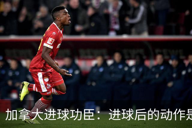 加拿大进球功臣：进球后的动作是给质疑我的媒体，他们可以闭嘴了