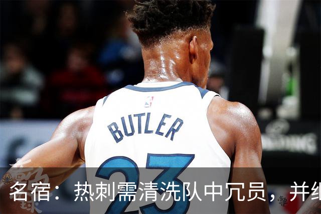 名宿：热刺需清洗队中冗员，并继续引援支持德泽尔比建队