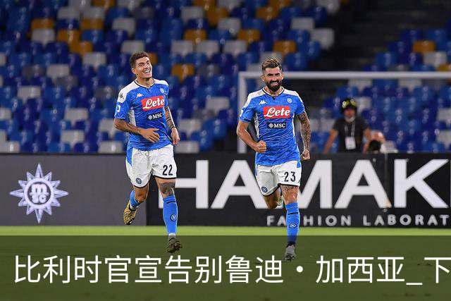 比利时官宣告别鲁迪·加西亚 下一任主帅是荷兰人？