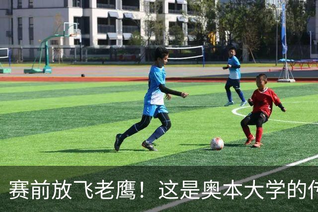 赛前放飞老鹰！这是奥本大学的传统仪式，来源于流传百年的传说