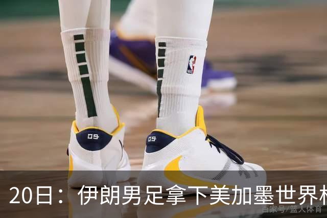20日：伊朗男足拿下美加墨世界杯第1分却在深夜十点被强制逐出美国国境!